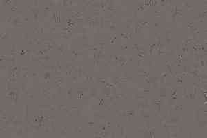 Кварцвиниловые полы Forbo Allura Colour/Colour Plus C68015-651015 dark lead фото  | FLOORDEALER